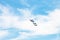 Four military fighter airplanes in white clouds