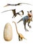 Four most popular dinosaurs -