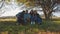 Four multiracial friends sitting at rural area.