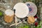 Four Native American Drums with Drumsticks.