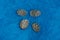 Four old coins of silver scales on blue woolen fabric