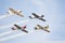 Four old style aerobatic sport airplanes