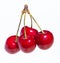 Four organic sweet cherries on a white background