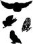 Four owls silhouettes