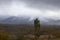 Four Peaks, Mountain, Maricopa County, Arizona