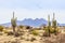 The Four Peaks and Saguaros