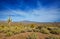 Four Peaks Wilderness Area