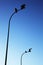 Four pelicans on two lampposts against a clear blue sky