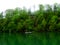 Four people on a canoe in a green environment