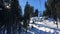 Four person ski chair lift going through the trees up a mountain with a blue sky