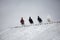 Four pigeons are sitting parallelly on steel tin rooftop.