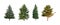 Four pine