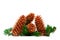 Four pine cones and branches in a scenic Christmas decoration