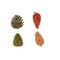 Four pine cones vector