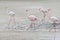 Four pink flamingos walking on the sand