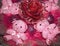 Four pink Teddy bears and artificial flower.Christmas composition