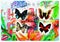 Four postage stamps printed in Congo shows Butterflies serie, circa 2013