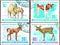 On four  postage stamps printed in Mongolia show the image of a young animal - calf, foal, baby camel, fawn.