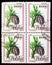 Four postage stamps printed in Poland shows Pinus cembra, Pine cones serie, circa 1993