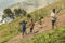 Four pygmy children gather potatoes in a sloping field on the mountainside.