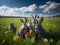 Four rabbits sitting in a field with an eggs of Easter