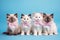 Four Ragdoll kittens with bowties on pastel blue background