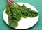 Four red stemmed chard leaves