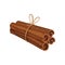 Four rolled sticks of cinnamon tied with rope. Aromatic condiment. Fragrant seasoning. Detailed flat vector design