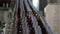 four rows of empty dark glass beer bottles are transporting on conveyor in workshop