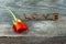 Four rustic alphabet blocks spelling out Love with red rose on wood