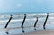 Four seabirds perched on ocean-side posts to watch the ocean for food