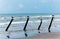 Four seabirds perched on posts at the beach