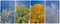 Four season collage from vertical banners with trees and blue sk