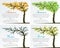 Four Seasons Fantasy Tree