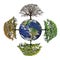 Four Seasons of Planet Earth