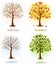 Four seasons - spring, summer, autumn, winter.