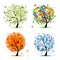 Four seasons - spring, summer, autumn, winter tree