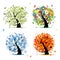 Four seasons-spring, summer, autumn, winter tree