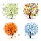 Four seasons tree - spring, summer, autumn, winter