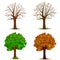 Four seasons trees vector