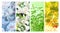 Four seasons of year. Set of vertical nature banners with winter, spring, summer and autumn scenes