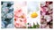 Four seasons of year. Set of vertical nature banners with winter, spring, summer and autumn scenes