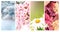 Four seasons of year. Set of vertical nature banners with winter, spring, summer and autumn scenes