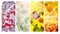 Four seasons of year. Set of vertical nature banners with winter, spring, summer and autumn scenes