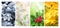 Four seasons of year. Set of vertical nature banners with winter, spring, summer and autumn scenes. Nature collage with seasonal