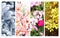 Four seasons of year. Set of vertical nature banners with winter, spring, summer and autumn scenes. Nature collage with seasonal