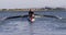 Four senior caucasian men and women rowing boat on a river