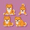 four shiba inu characters