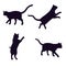 Four silhouettes of playful cats