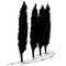 Four silhouettes of a tree of a cypress and footpath along them